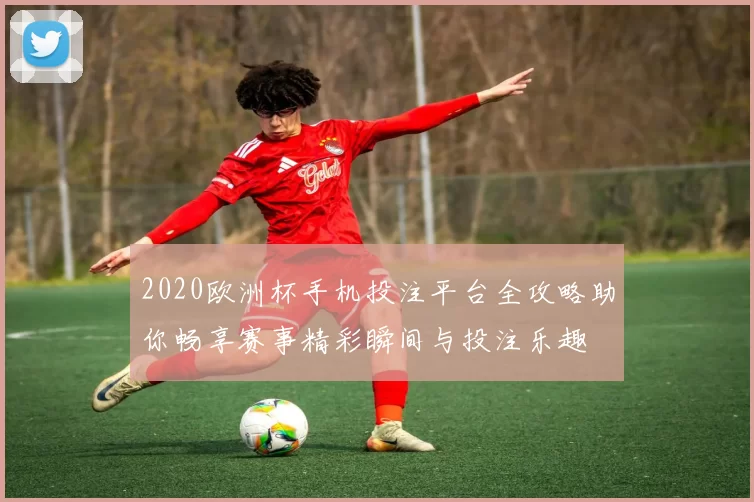 2020欧洲杯手机投注平台全攻略助你畅享赛事精彩瞬间与投注乐趣