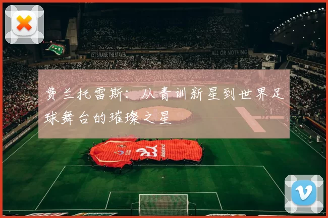 费兰托雷斯：从青训新星到世界足球舞台的璀璨之星