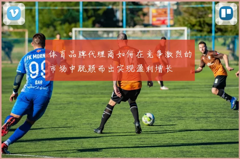 体育品牌代理商如何在竞争激烈的市场中脱颖而出实现盈利增长