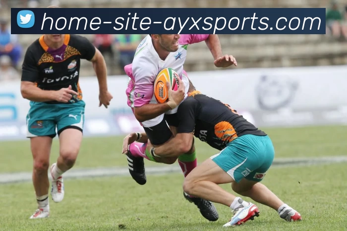 爱游戏平台生态图