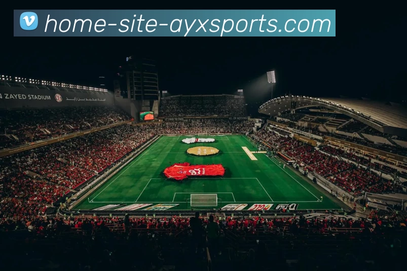 爱游戏APP 封面图